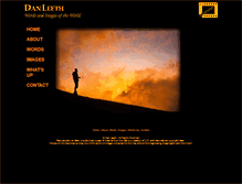 Tablet Screenshot of danleeth.com